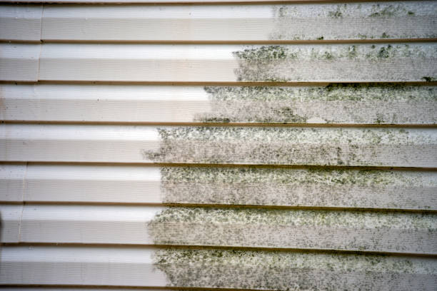  Cleveland, OH Siding Installation Pros